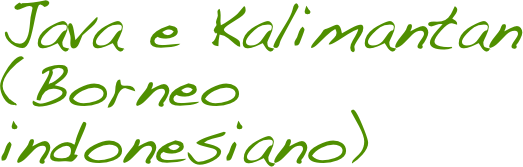 Java e Kalimantan (Borneo  indonesiano)